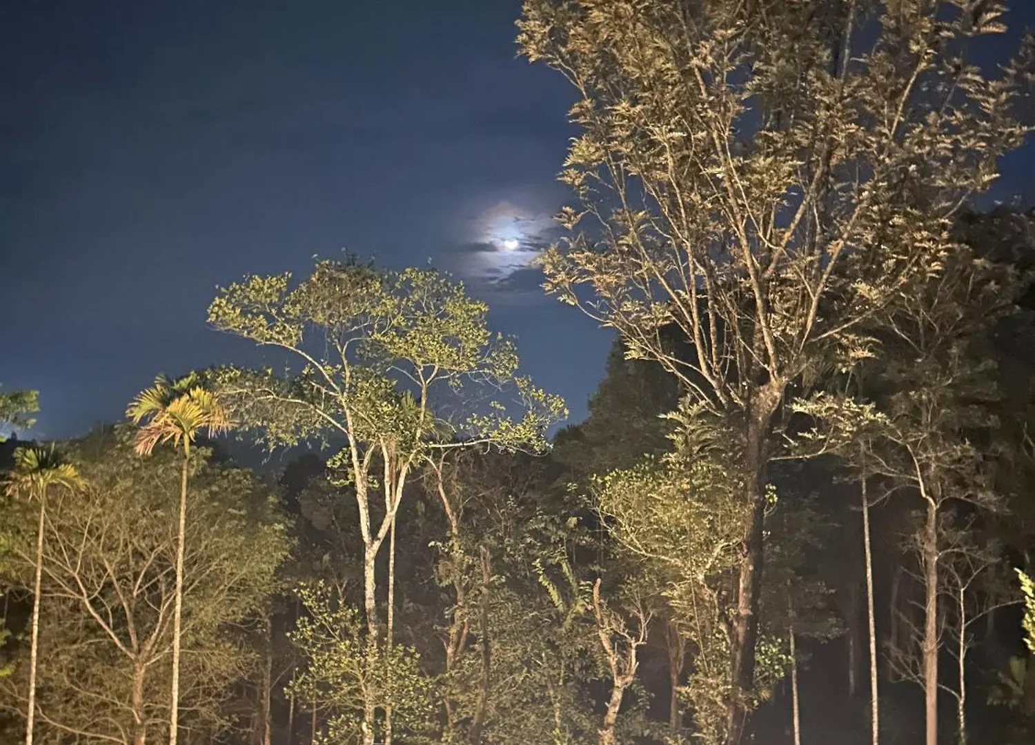 Quarto em Acomodações Particulares Sylvan Resort Wayanad Índia