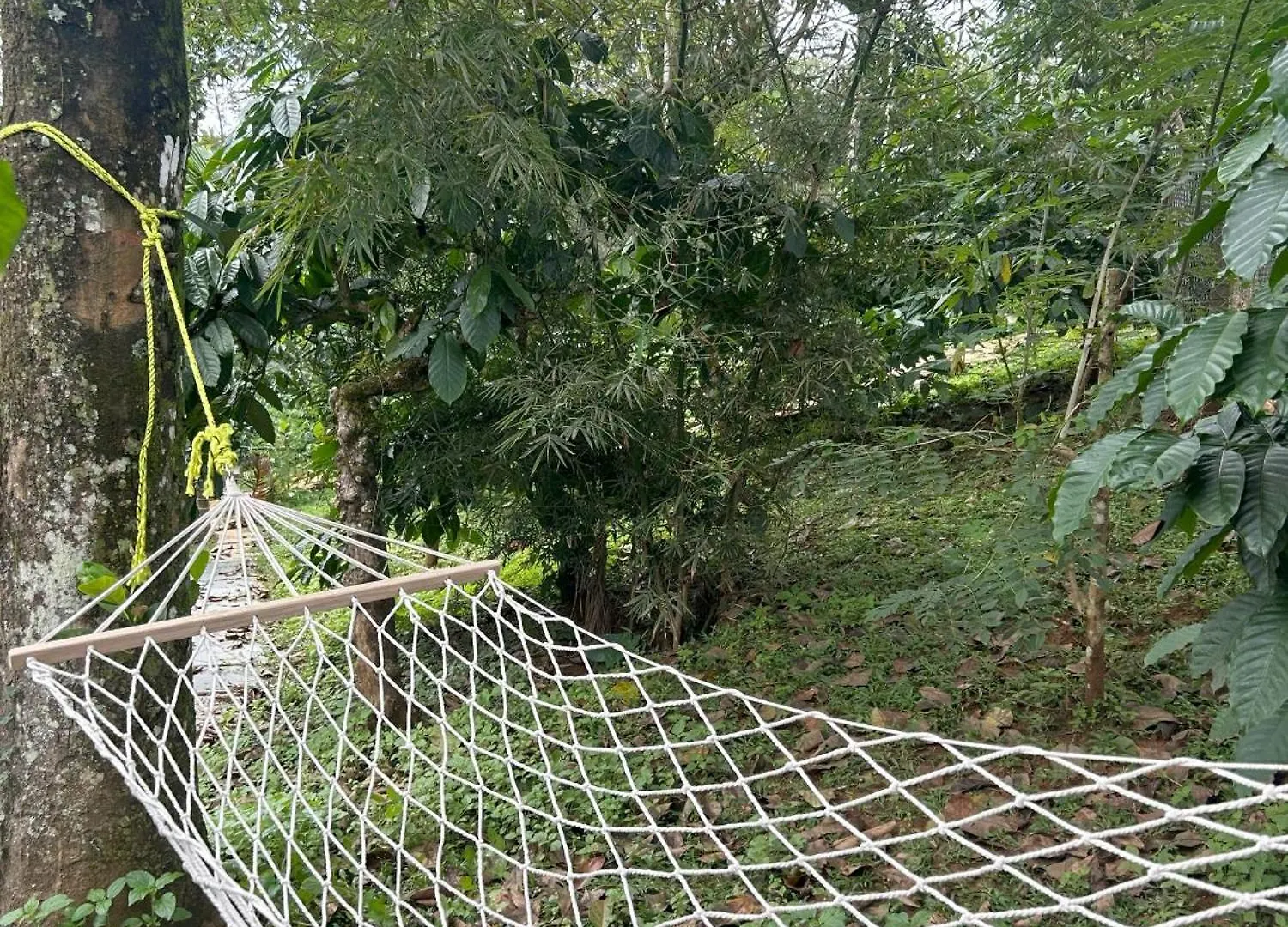 Quarto em Acomodações Particulares Sylvan Resort Wayanad