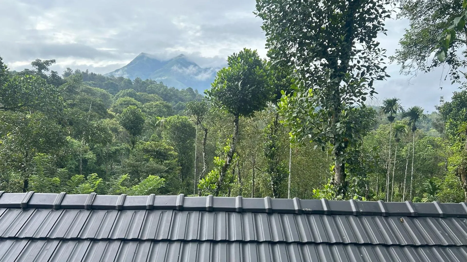 Sylvan Resort Wayanad 0*,  Índia