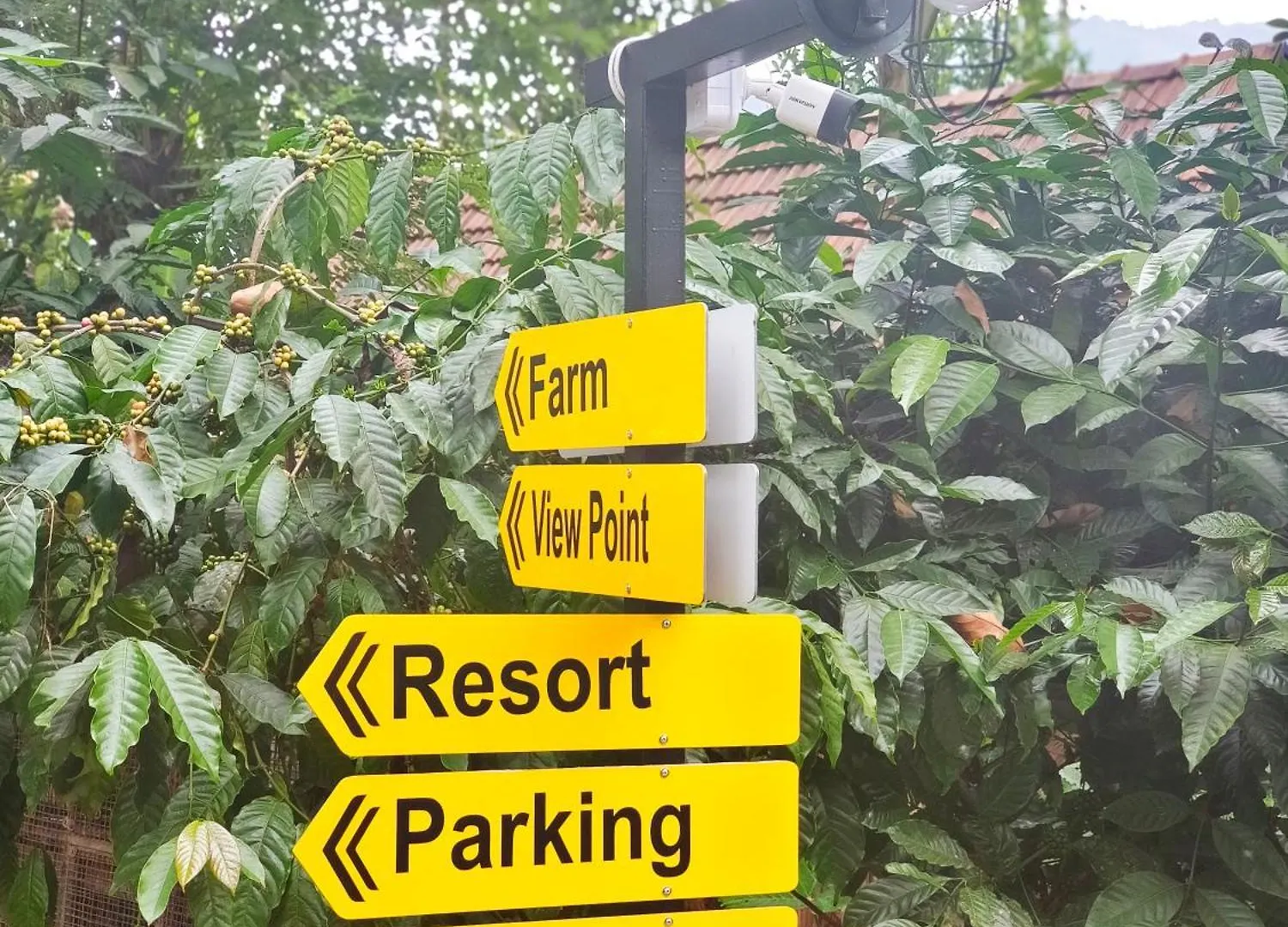 Quarto em Acomodações Particulares Sylvan Resort Wayanad