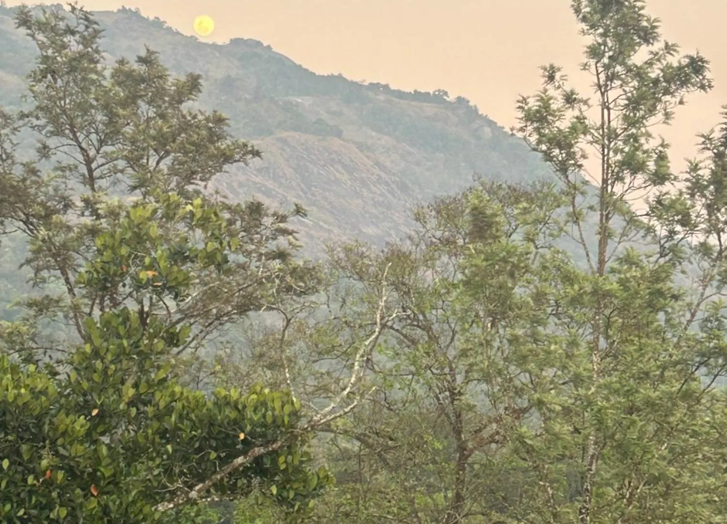 Sylvan Resort Wayanad