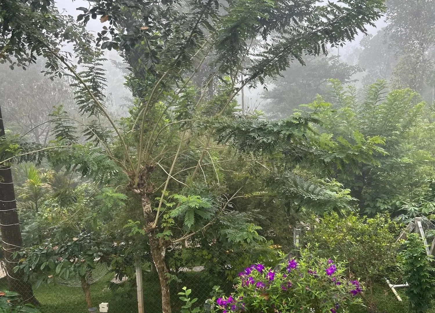 Sylvan Resort Wayanad