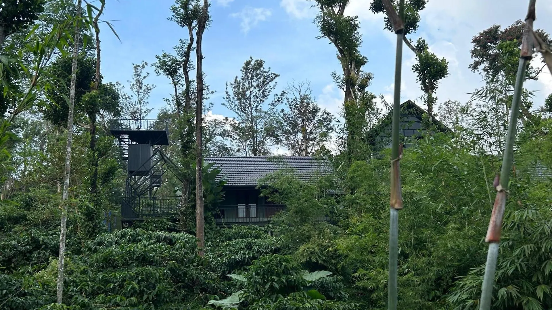 Quarto em Acomodações Particulares Sylvan Resort Wayanad Índia