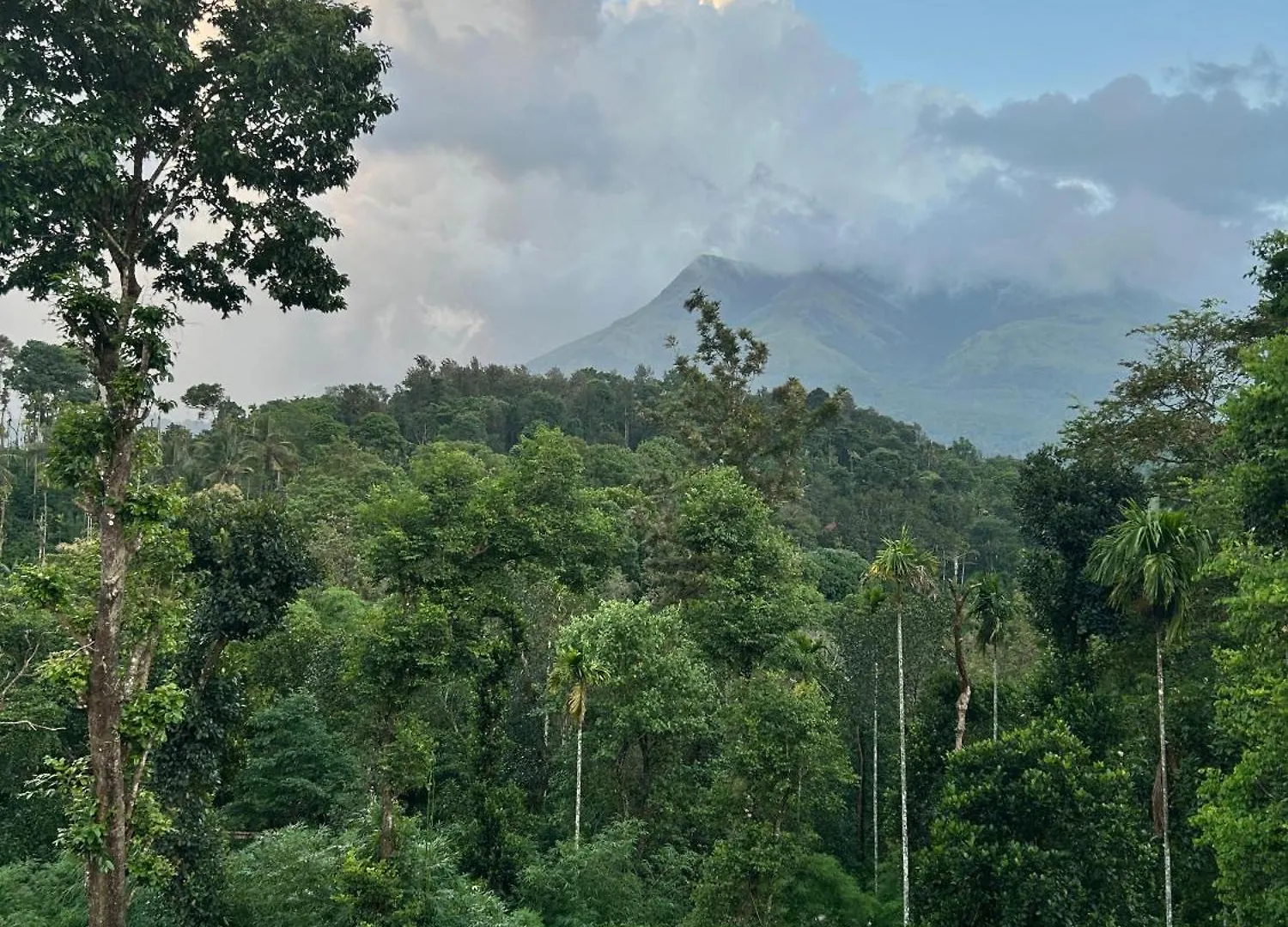Quarto em Acomodações Particulares Sylvan Resort Wayanad Índia