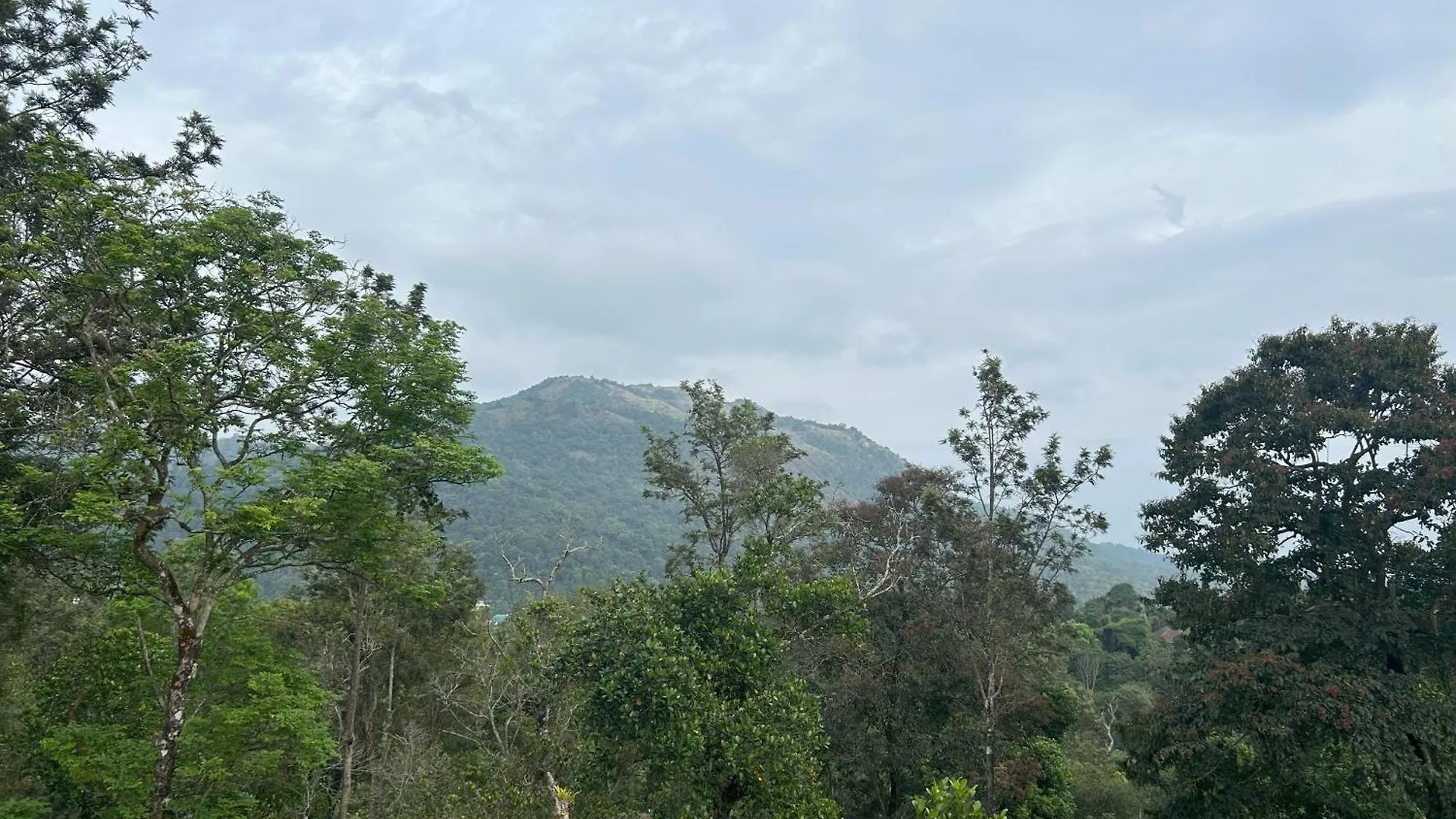 Δωμάτια σε οικογενειακή κατοικία Sylvan Resort Wayanad