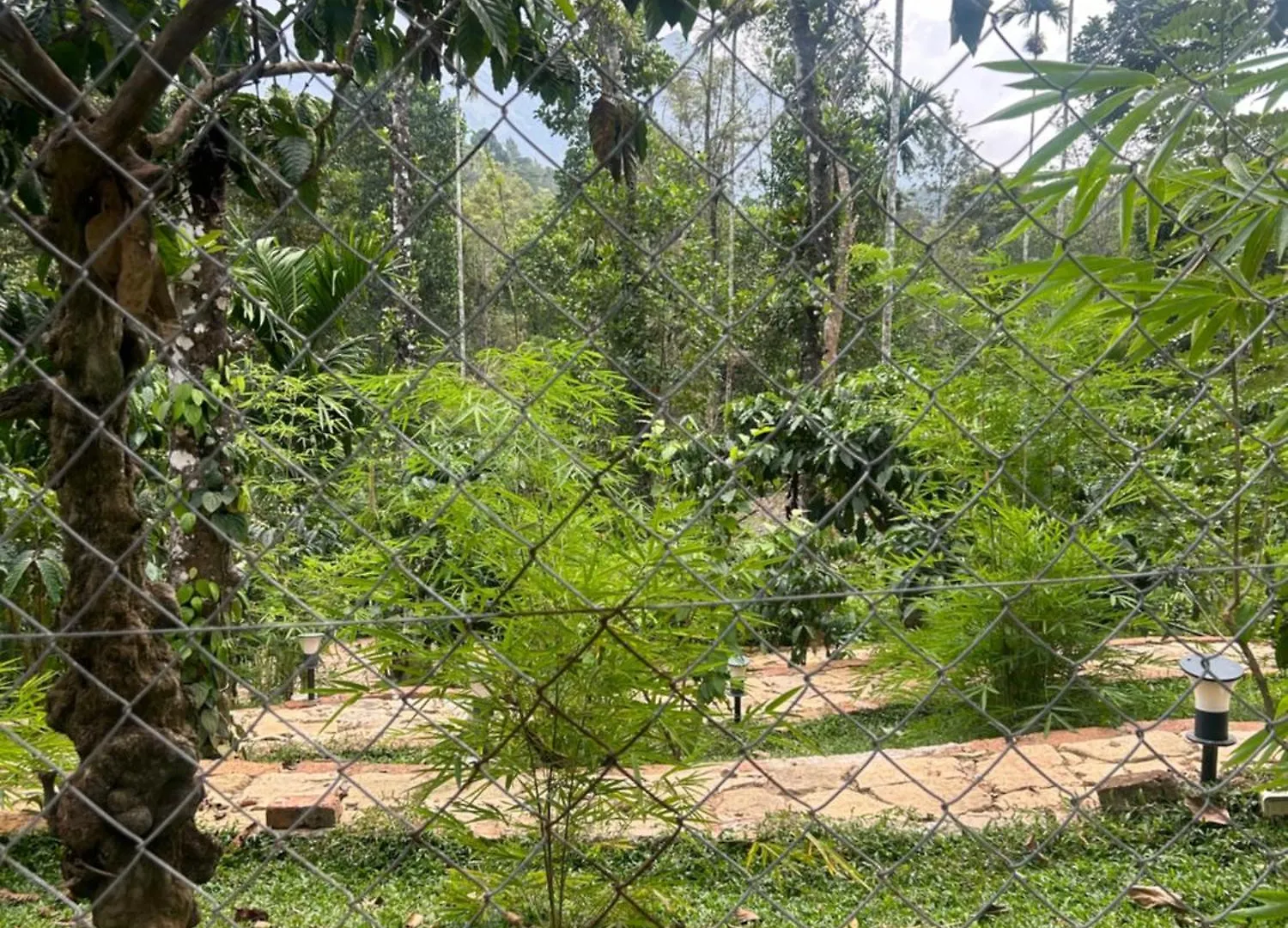 Δωμάτια σε οικογενειακή κατοικία Sylvan Resort Wayanad