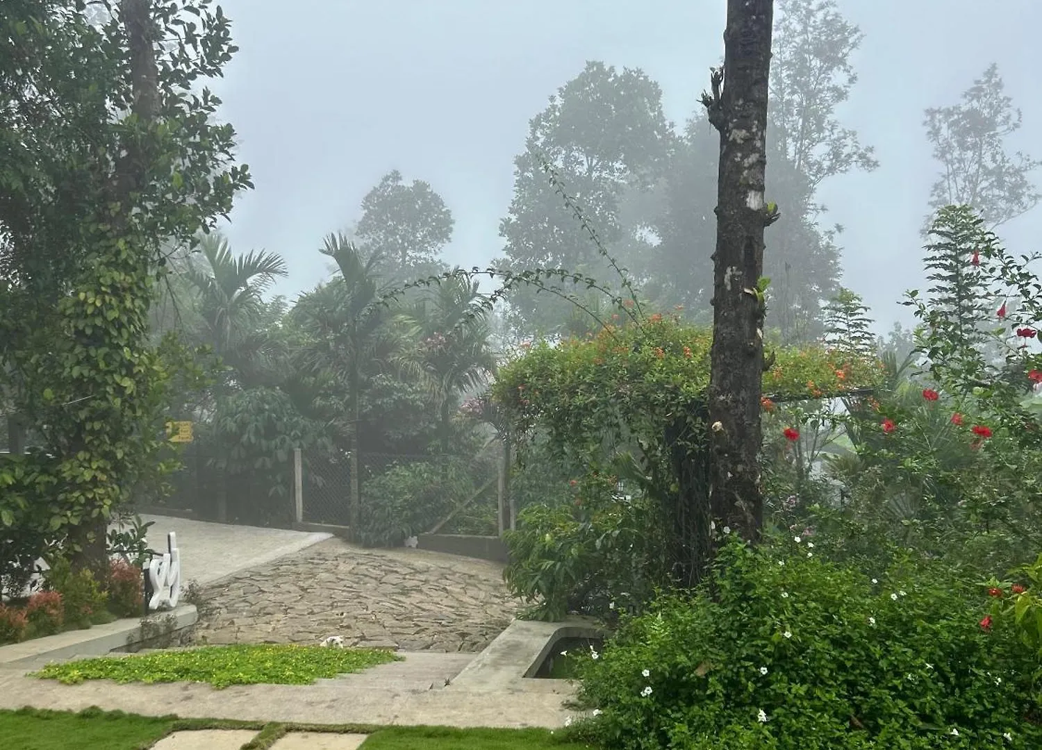 Sylvan Resort Wayanad Ινδία